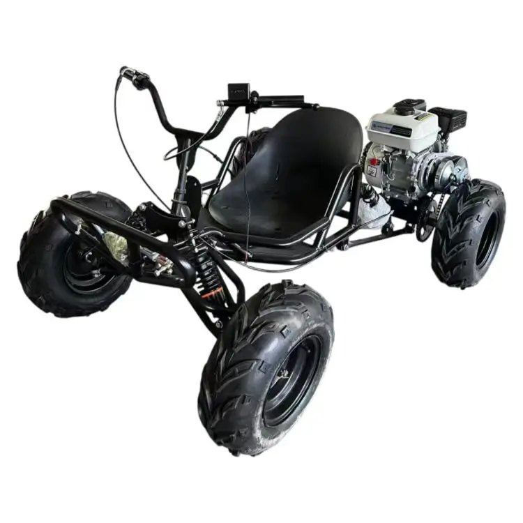 Outdoor 212cc 4-Stroke 60km/h 8-inch Wheel Kart  250kg Load Capacity  Hydraulic Disc Brakes Pull Start All-Terrain Off-Road Kart