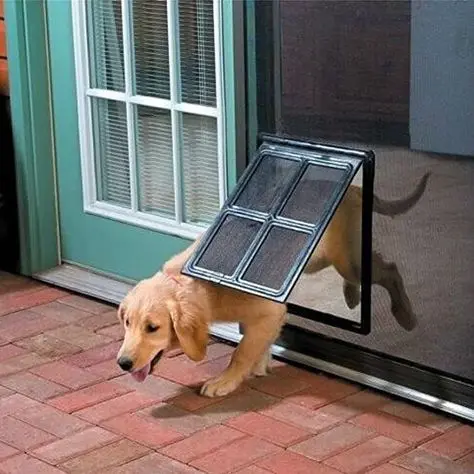 Luxurious Dog Doors With Steel Frame And Durable Swing Double Silicone Magnetic Flaps Or Panels For Heavy-Duty Pet