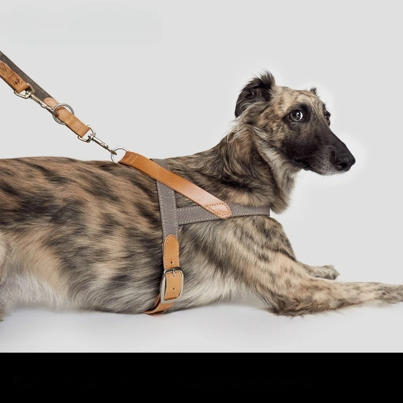 Chest and back leather explosion-proof dog chest strap light luxury Y-shaped traction dog walking rope