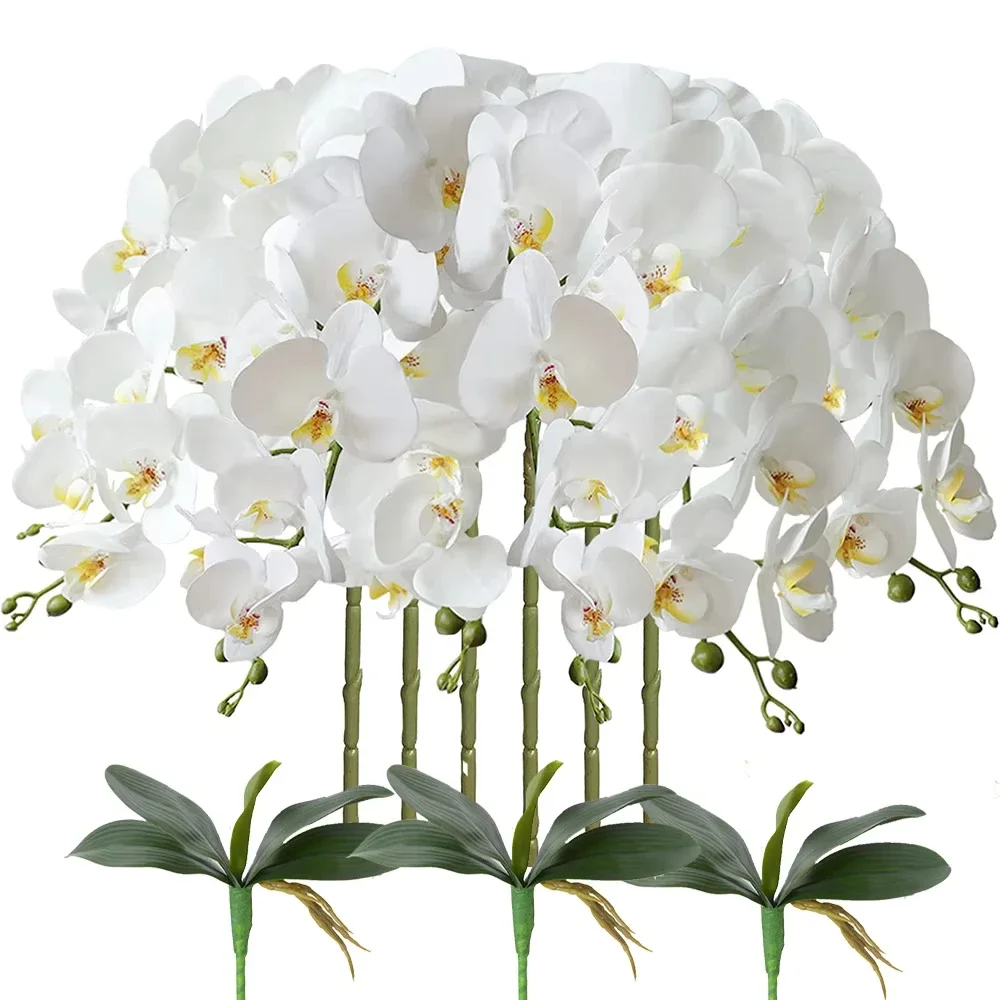 #25 Latest Vase Fillers Offers