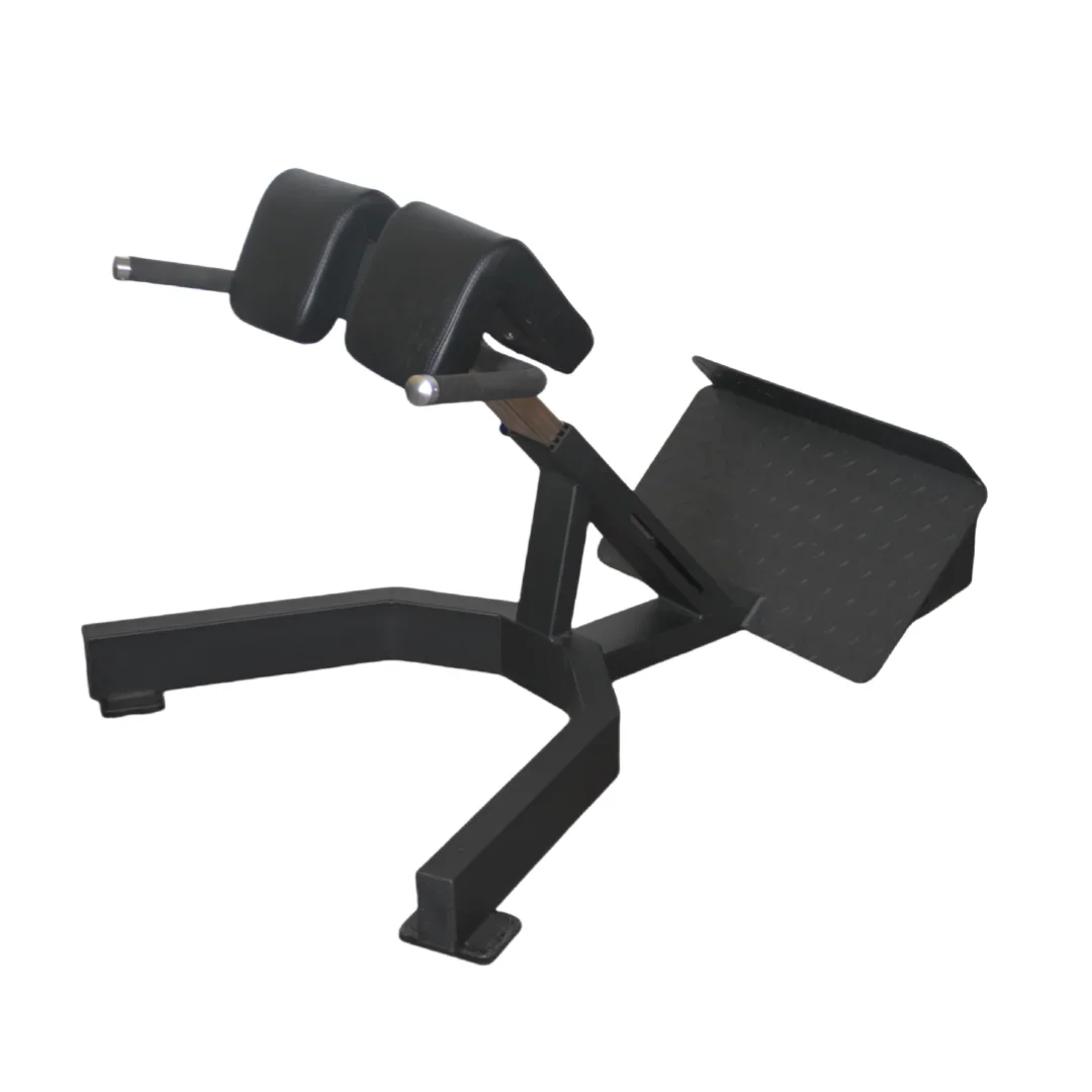 Factory Price Roman Chair Back Extension Bench Strength Equipment Home Gym Waist Training Machine