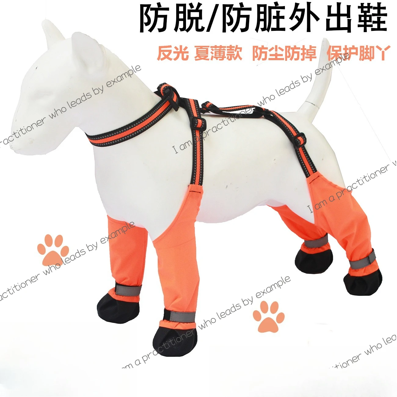 Pet Products Go Out… - image