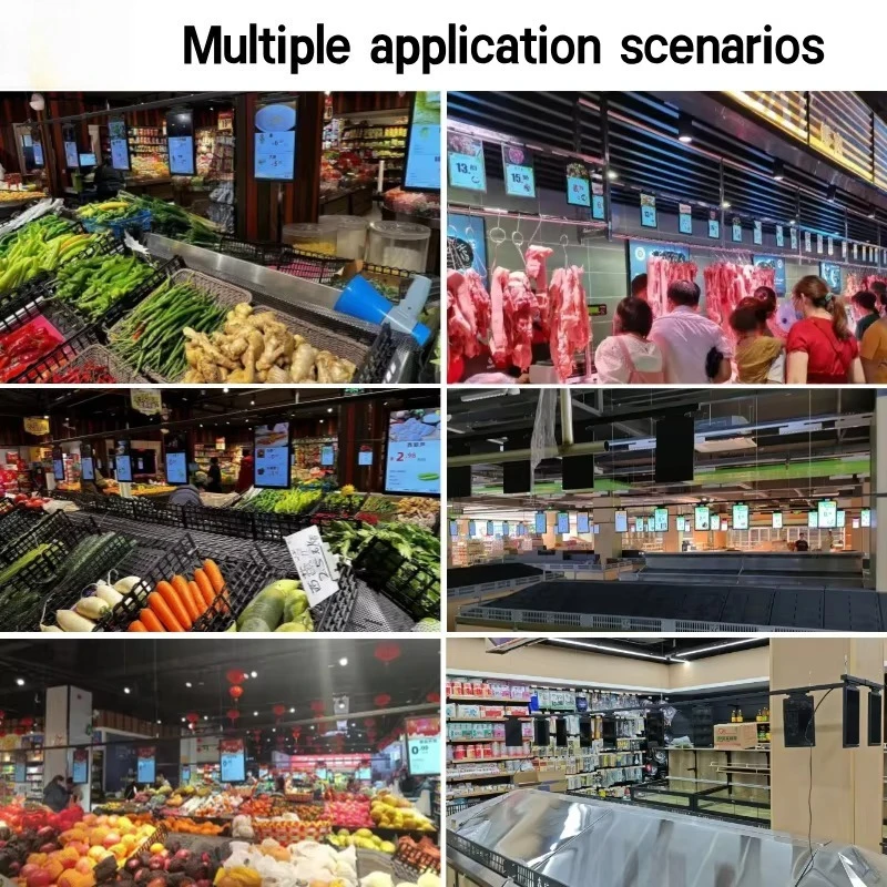 Cloud Server Backend Electronic Shelf Label (ESL) Plastic Retail Store Display with Animation Function for Shopping Mall Use