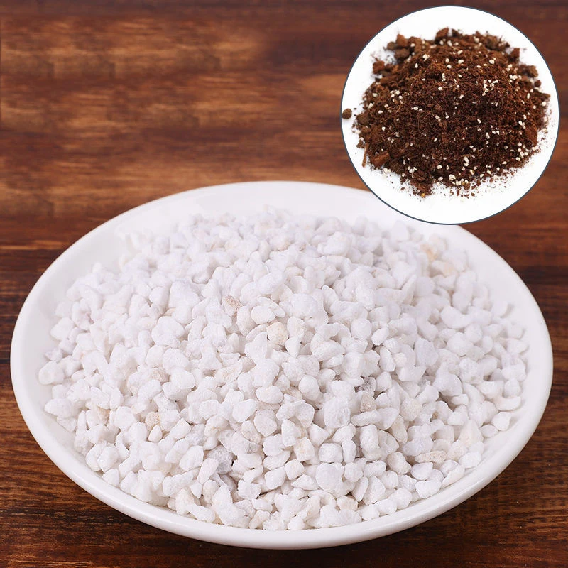 50g/250g/500g Perlite Pellet Configure Nutrient Soil Plant Nursery Breathable Loose Soil Substrate For Garden Bonsai