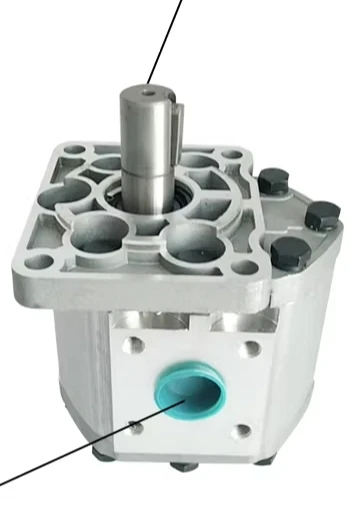 Gear Pump CBT-E520-BF. CBN-E520-BF. CBQ-F520-AF * * CBF-E510-AL**