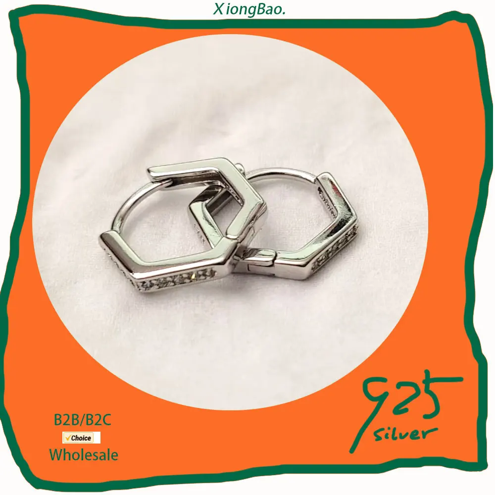 

Single Row Zircon Stud Earrings Fashion Party Jewelry for Women 2026 New Prevent Allergy 925 Sterling Silver Earring Sparkling
