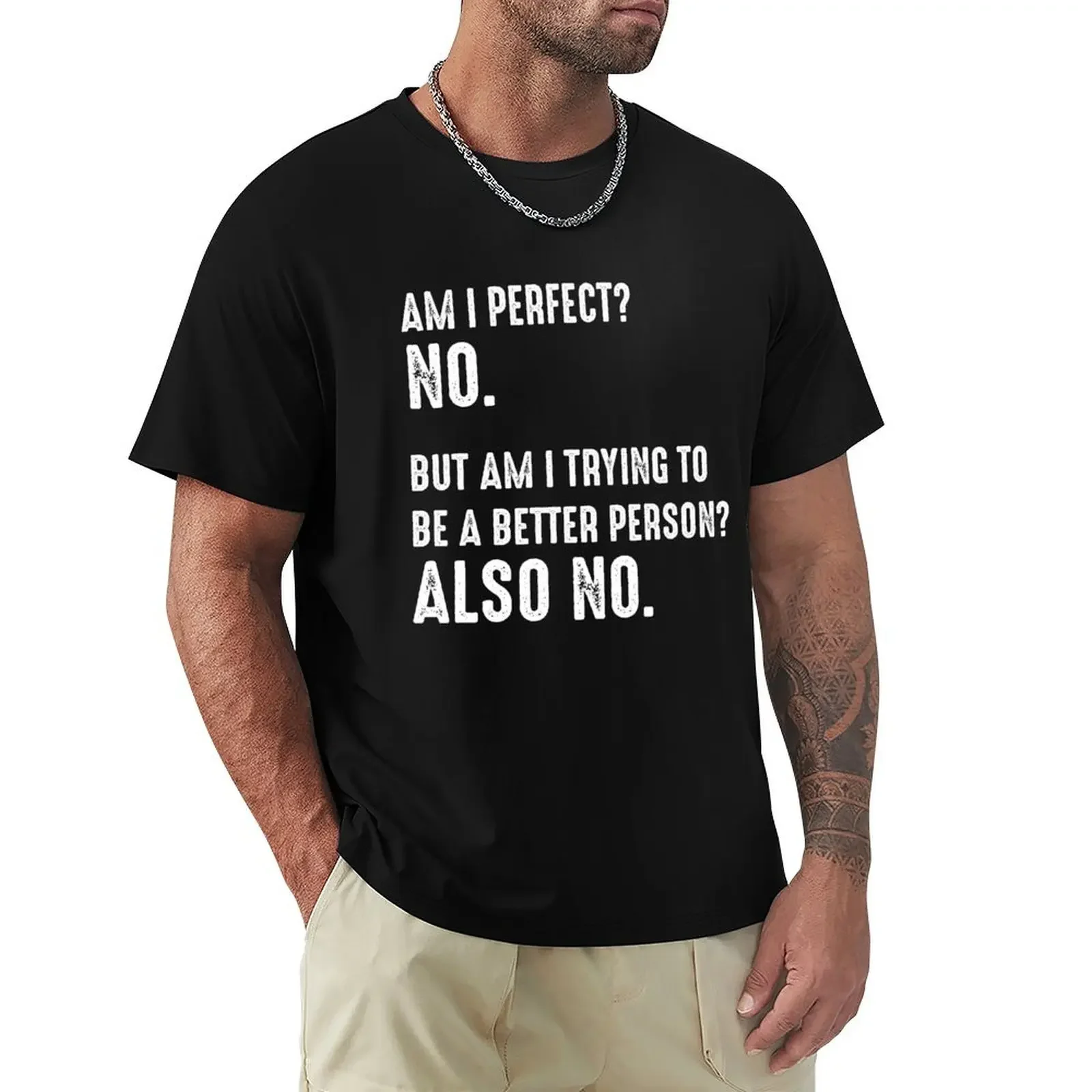 Am I Perfect? No. Am I Trying To Be A Better Person? Also No. T-shirt kawaii clothes sweat t shirts for men graphic