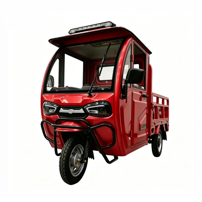 Quality Certifications 60v800w Fully Enclosed Cab Portable Electric Tricycle for Rural Goods Transportation