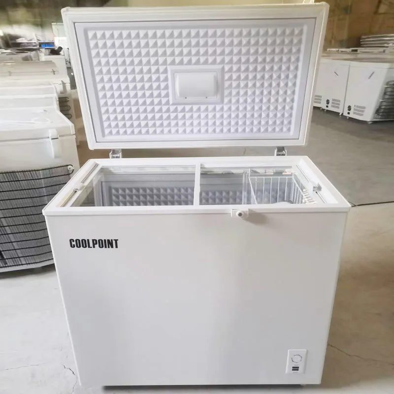 DC12v/24v solar DC freezer refrigerated and frozen 258L refrigerator commercial freezer