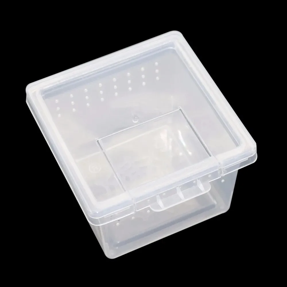 5 Pcs Insect Reptile Spider Hatching Container Frog Breeding Box Suitable For Scorpion Centipede Horned Frog Larvae Breeding Box