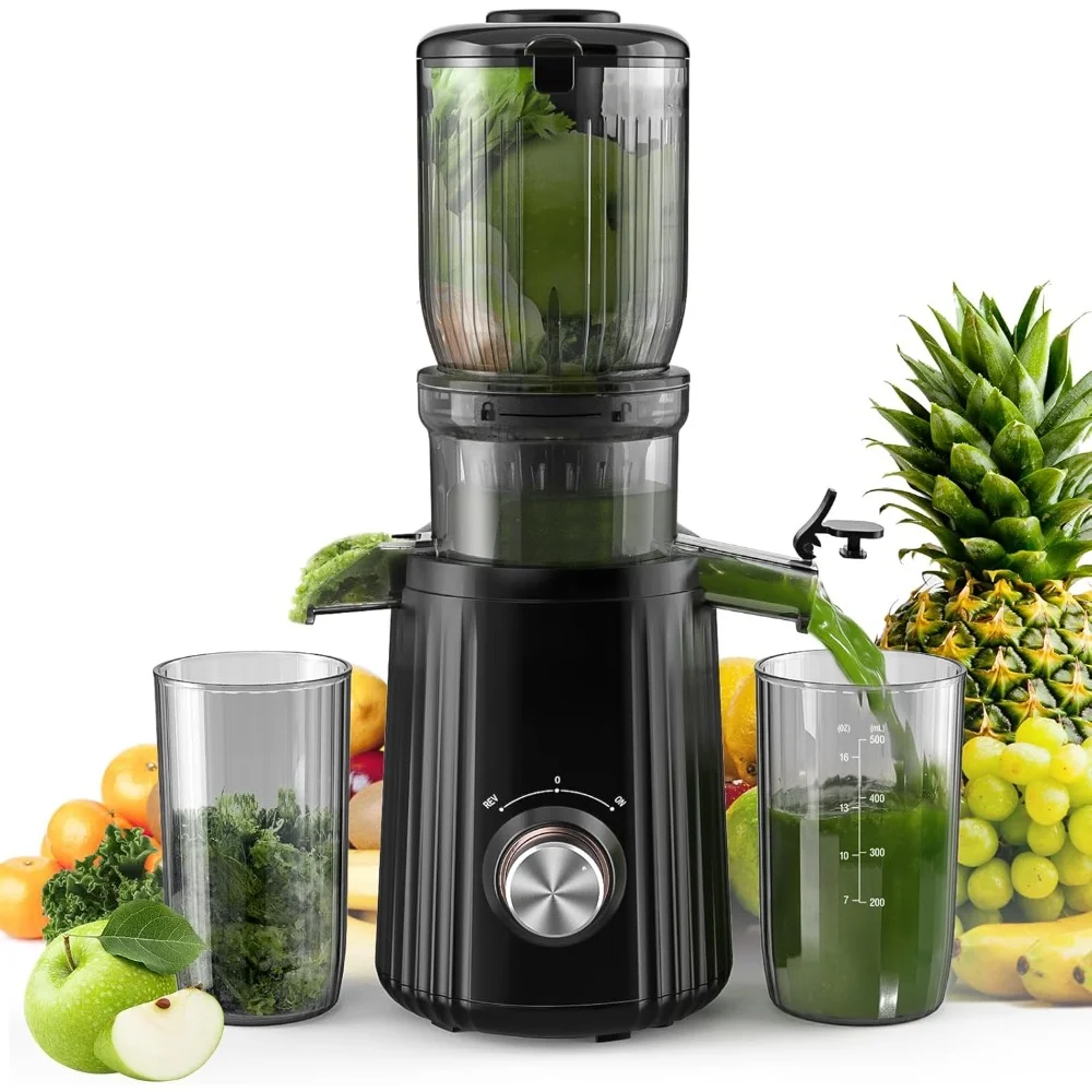 Juice Extractor,4.25'' Large Feed ChuteHigh Juice Yield 2 Filters, Easy To Clean with Brush, 250W Juicer Machine