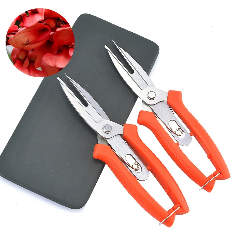 Stainless Steel Fru… - image