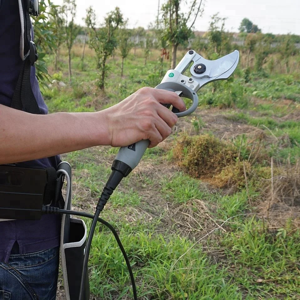 Tijeras podadoras eléctricas para árboles frutales, podadoras alimentadas por batería, tijera eléctrica agrícola, tijeras eléctricas para jardín