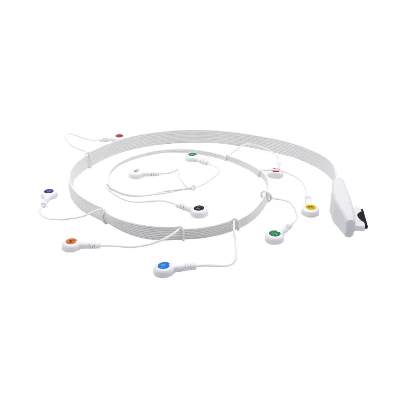 Mortaras H12 X12 ECG dynamic monitoring cable 929301750 AHA 10-lead snap-on lead cable Standard patient cable