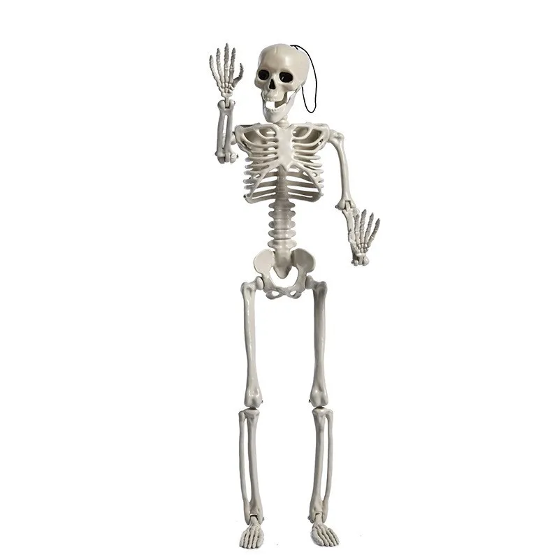 Halloween Skeleton People Model, Simulate Human Bones Skeleton, Haunted House Decor, Scenes Prop, Art Sketch, Wholesale, 15.7in