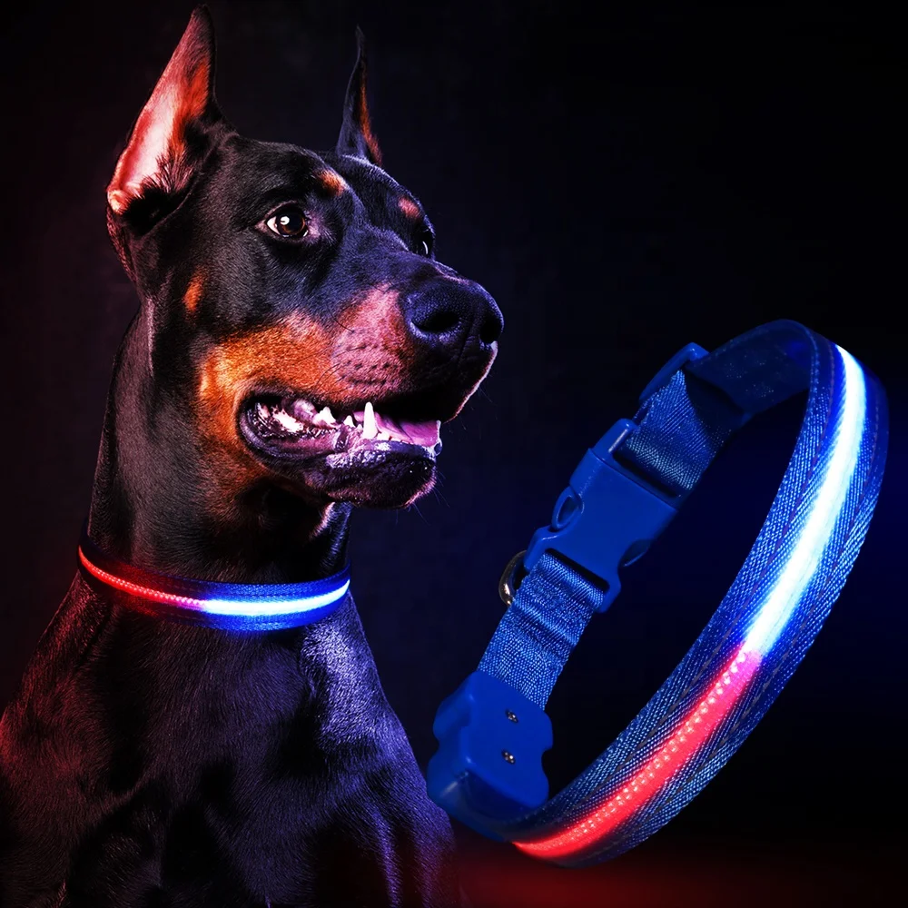 Lighted Strip Customized Dog Collar 250 MAh Type C Rechargeable LED Flashing Light Dog Collar