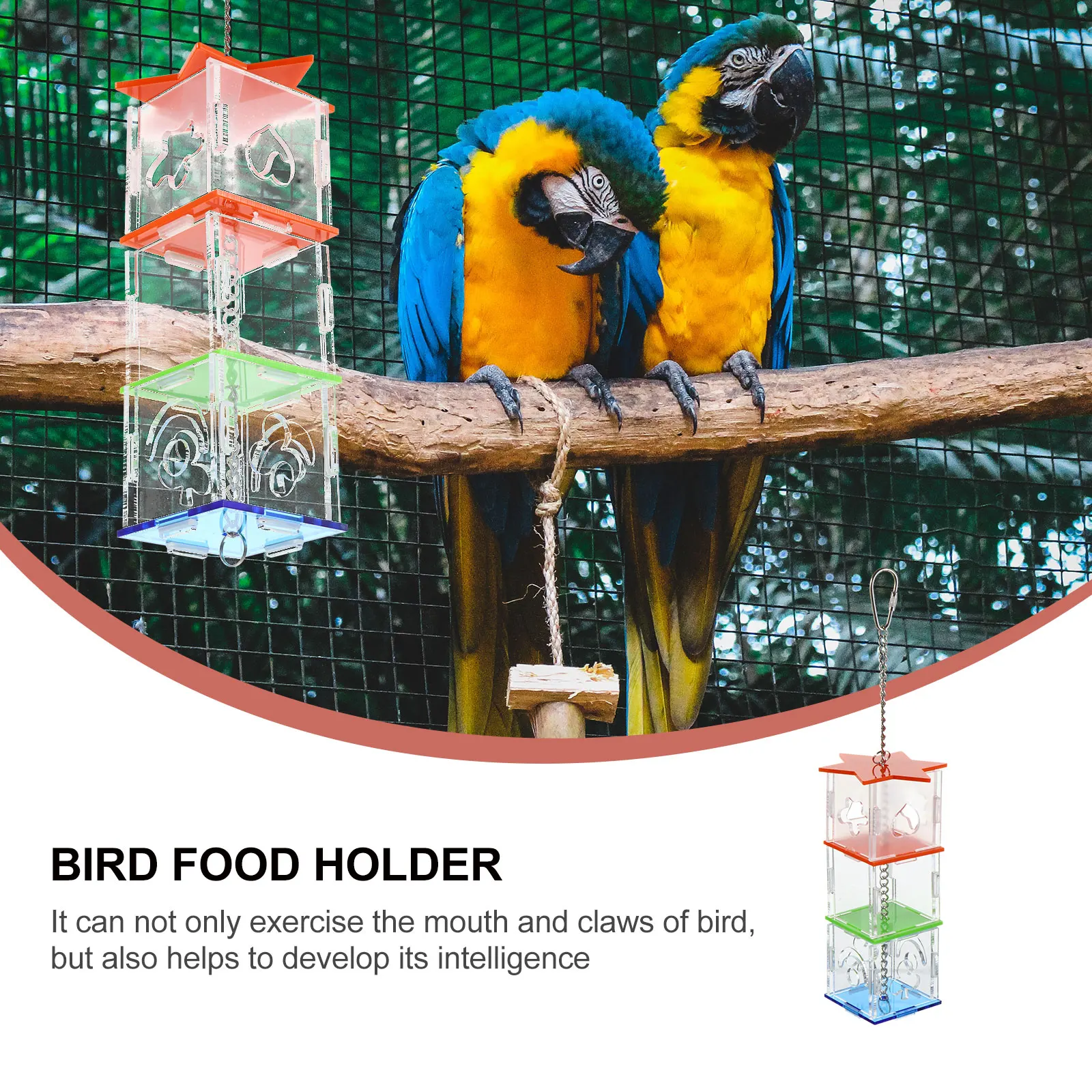 

Parrot Feeder Food Box Hanging Training Sturdy Durable Acrylic Bird Feeding Pet Supplies Parrot Foraging Food Feeder Bird