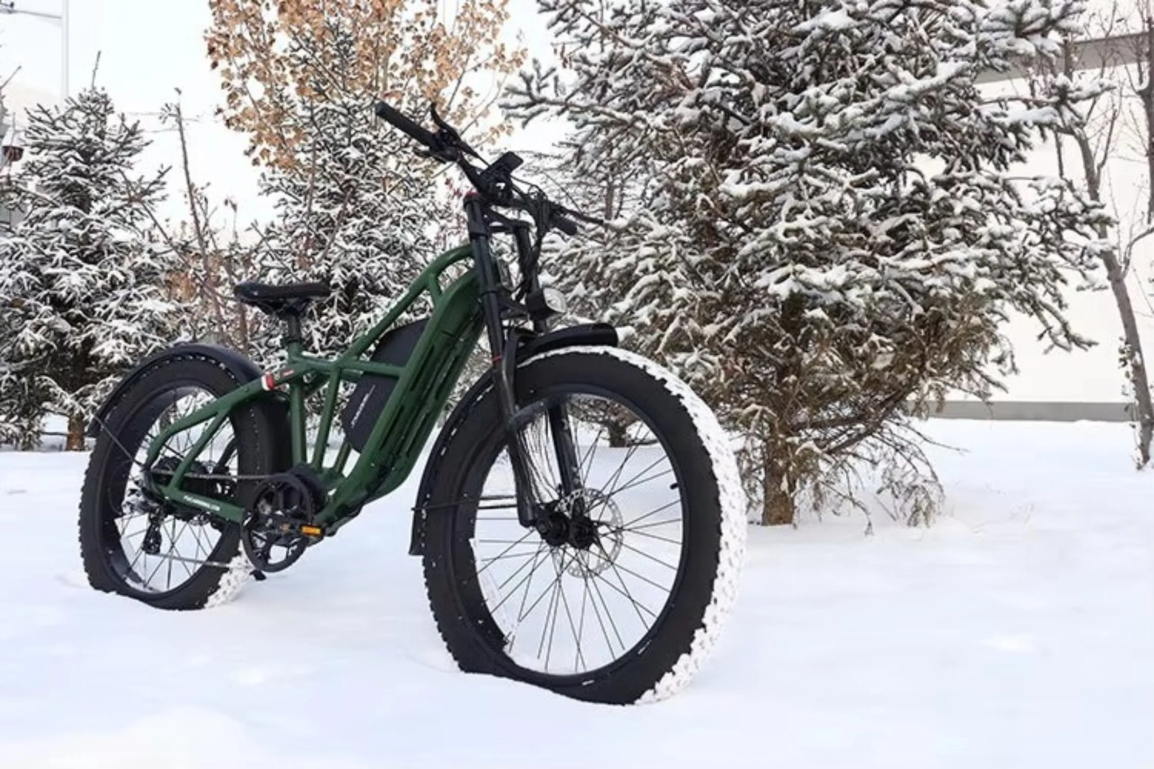 

Двойная литиевая батарея, дальность действия 120 миль, 20-дюймовая толстая шина, гидравлический тормоз, повышенный электрический шоссейный велосипед с задней стойкой