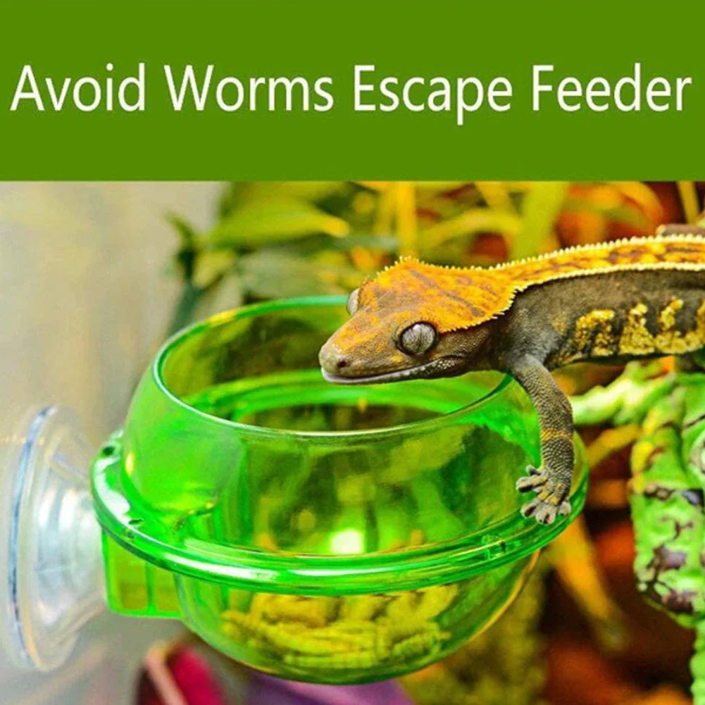 

Suction Cup Reptile Feeder Reptile Water Bowl Worm Dish Gecko Feeder Chameleon Bowl Reptile Ledge Accessories Supplies Pet