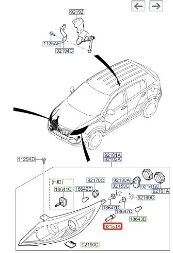 SOCKET-FR POSITION LAMP FOR HYUNDAI TUCSON VELOSTER I10 IX20 ELANTRA 921612E000