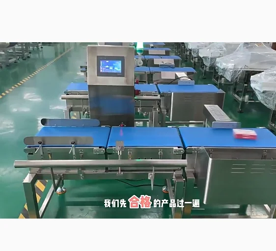 Automatic Small Package Check Weigher Machine with Rejection Feature Weight Checker for Small Items