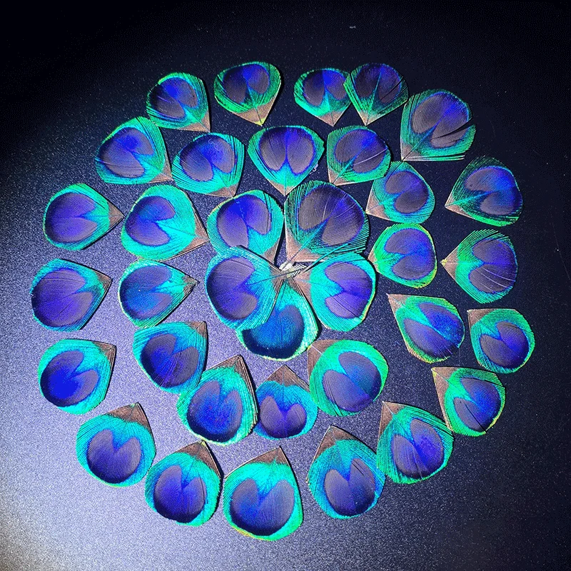 

24Pcs/Lot! Beautiful Shinly Blue Peacock Eye Feathers Peacock Feather Eyes ,Loose Plumas Decorativas,Fly Tying Materials