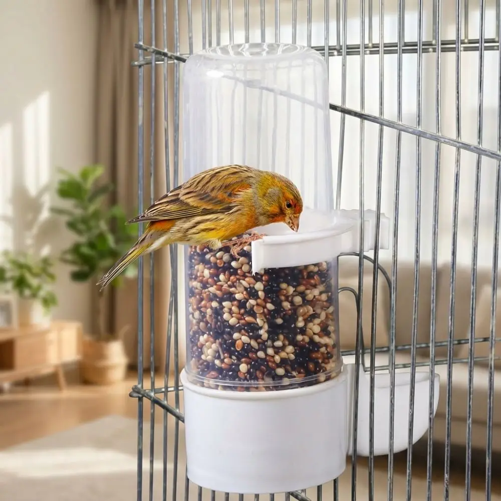 240ML Capacity Automatic Bird Feeder Plastic Detachable Base Bird Water Dispenser Hummingbird Feeder Leak-Proof