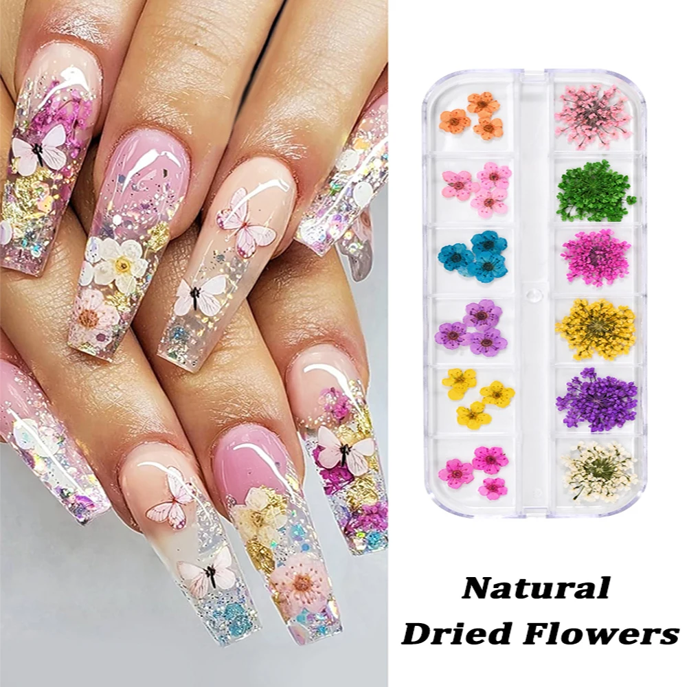 12 Grids/Box Dried Flower Set Pack Pressed Real Natural Flowers For Resin Jewelry Nail Mold DIY for Mobile Phone Nail Decoration