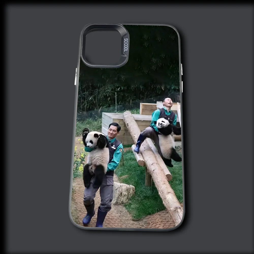 Funny Fubao Panda Phone Case For iPhone 16,15,14,13,12,11,Mini,Pro,MAX Gray Silver Drop Matte Shockproof Back Cover