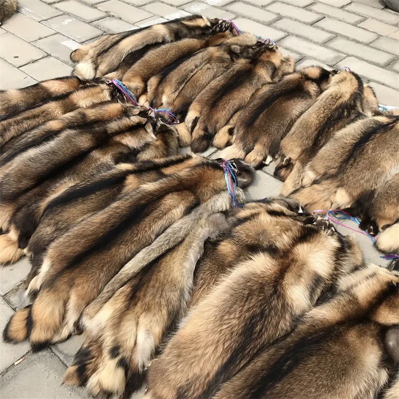 Wholesale Factory Supply Real Raccoon Rur Skin Natural Raccoon Fur Pelt For Garment