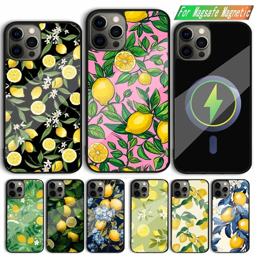 Fruit lemon Painting Phone Case For iPhone 15,14,13,12,11,Plus,Pro,Max Mini Magsafe Magnetic Wireless Charging