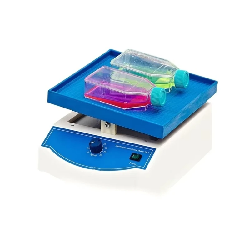 TS-8 Laboratory Instrument 0-80 rpm Stepping Speed Control Transfer Decolorizing Shaker Orbital Shaker with Instrument Display