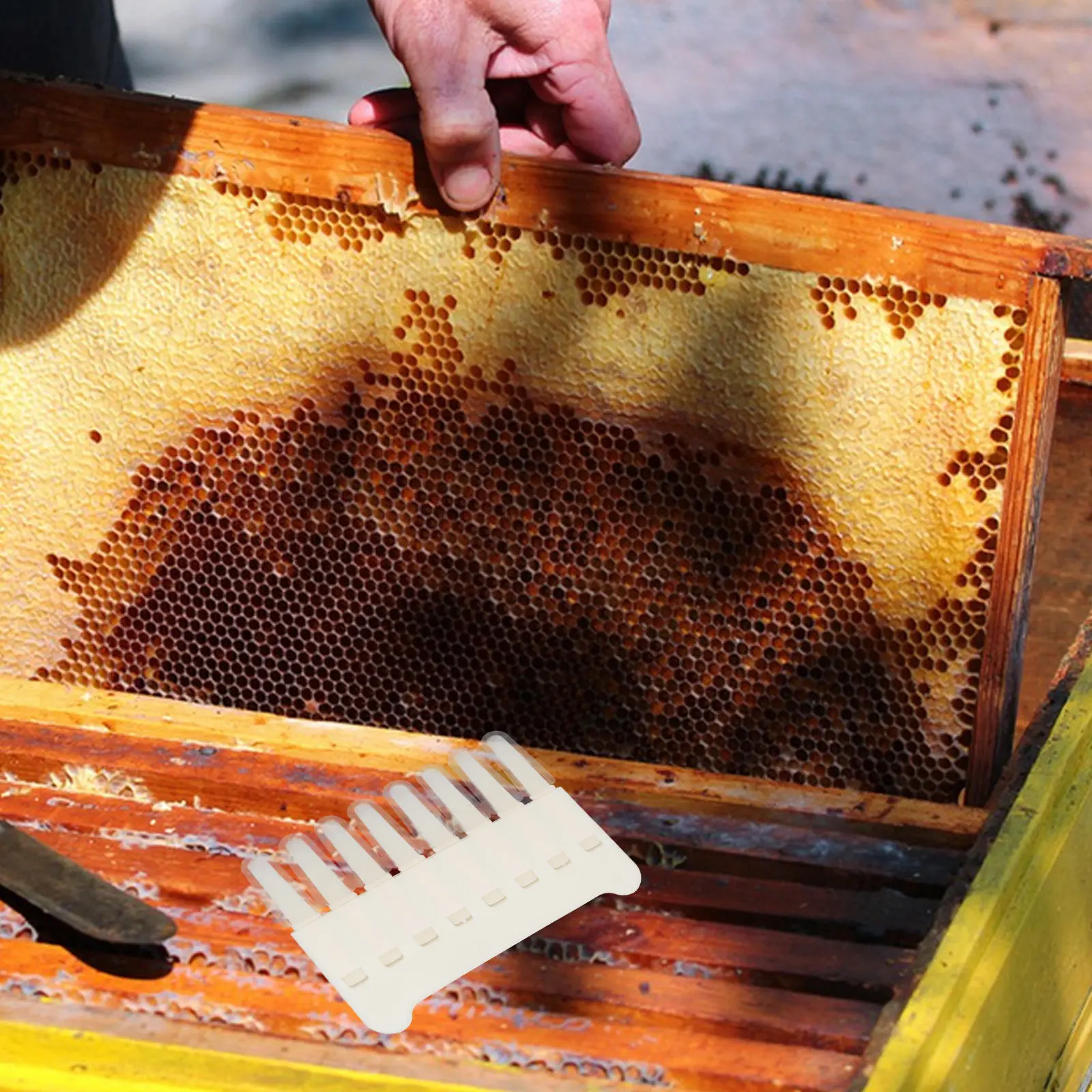 1Pcs Royal Jelly Scrape Pen Premium Material Beekeeping Tool Easy Operation Royal Jelly Extracting Tool Outdoor Use