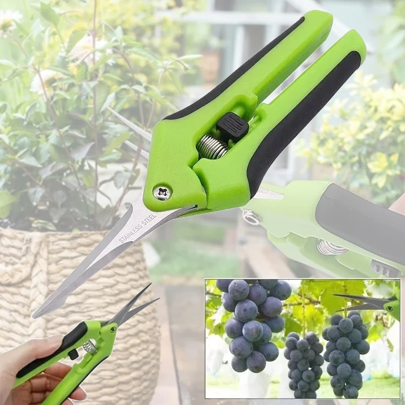 Garden Stainless Steel Flower Scissors Pruning Fruit Pruning Grape Pruning Straight Head Gardening Scissors Pruning Flowers