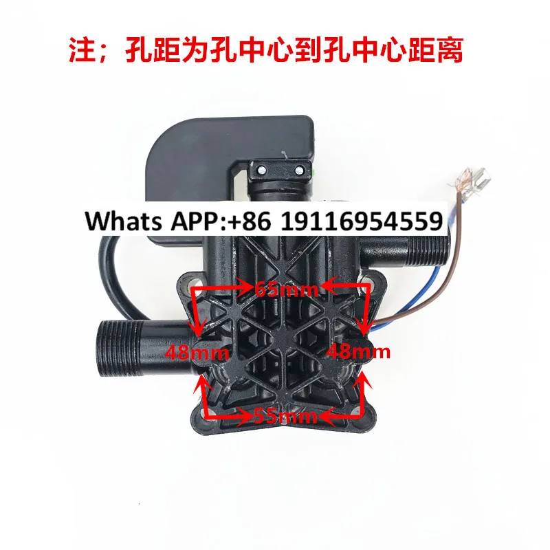 portable cleaning machine automatic triangle pump head assembly hole spacing 65mm plunger laugh pump head with pressure switch