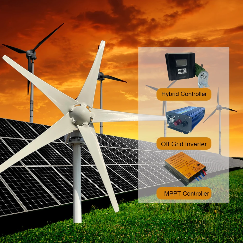 Fast Delivery EU Countries Free Energy 3KW 12V 24V 48V 5 Blade Horizontal Wind Turbine Wind Generator Power Windmill Home System