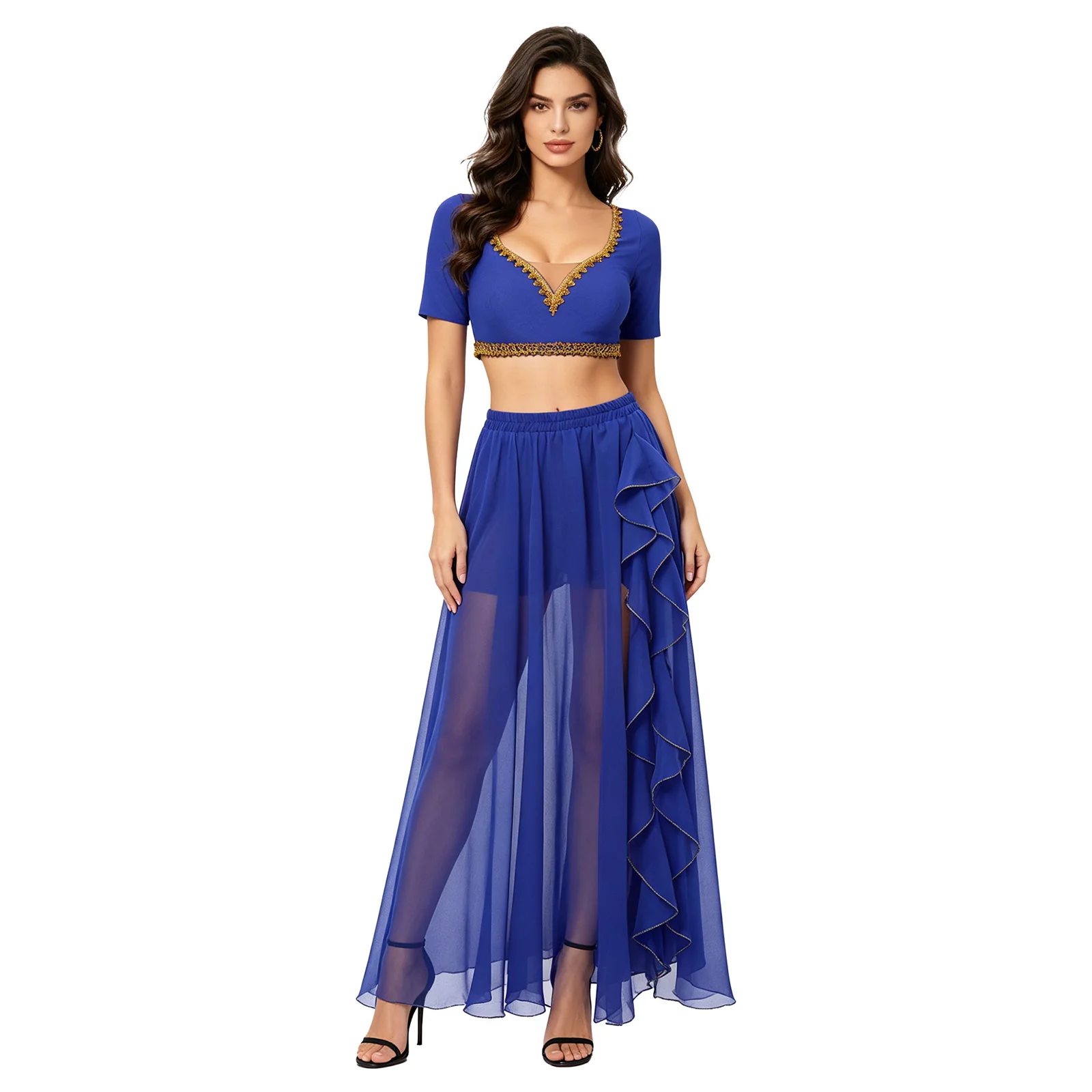 Women Indian Belly Dance Performance Outfit Arab Princess Costume Short Sleeve Crop Top with Slit Sheer Chiffon Skirt Dancewear