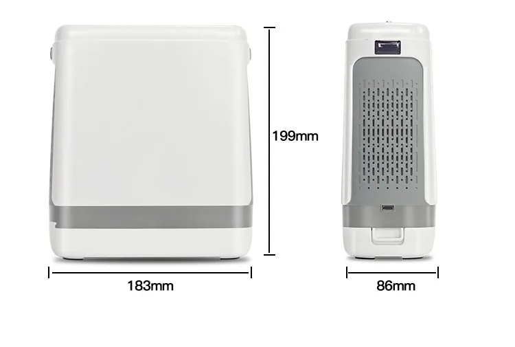 Dropshipping 1-5L impostazione portatile concentratore di ossigeno a impulsi macchina per uso domestico O2 Bar Travel Oxygenerator