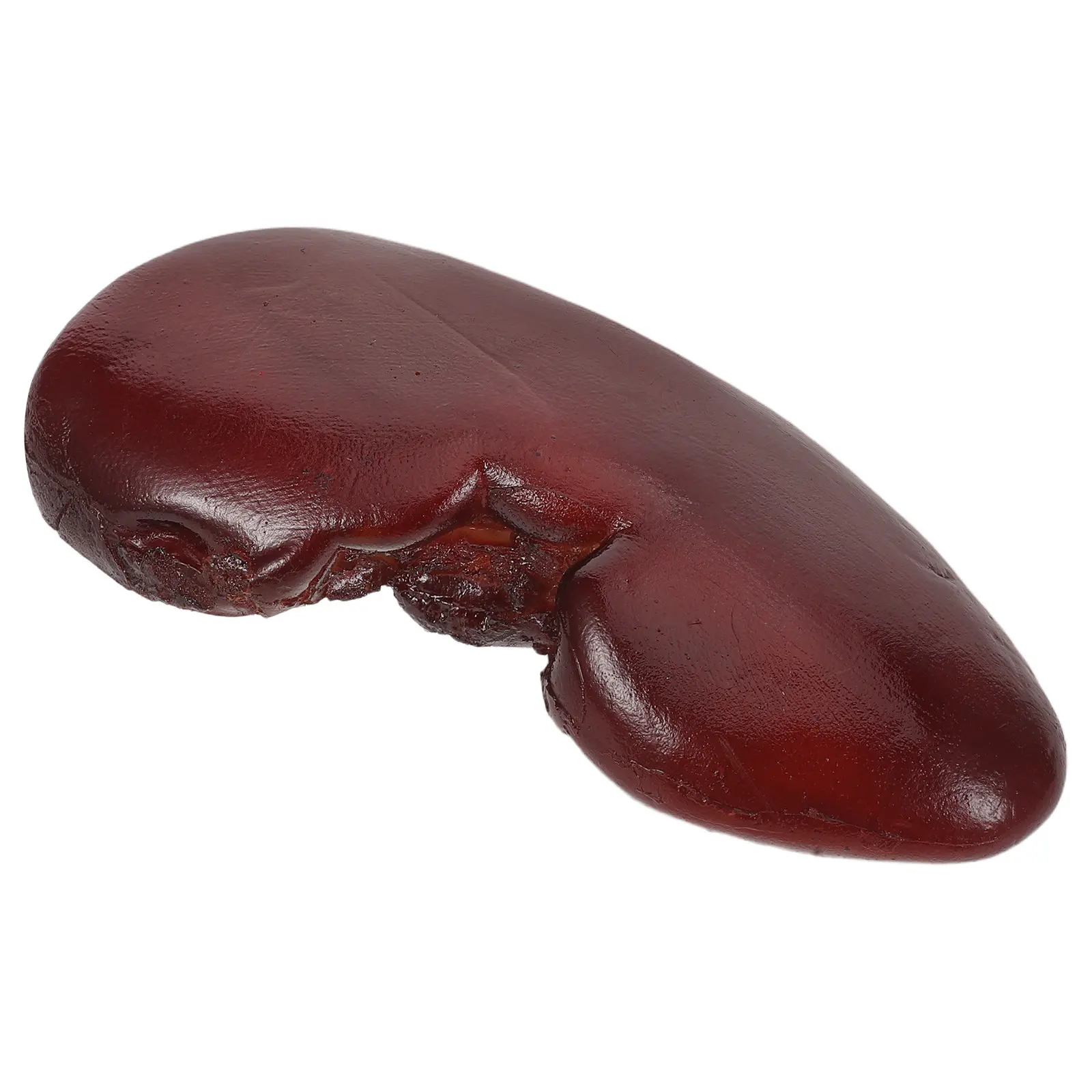 

Ultra Realistic Pig Kidney Simulation Prop Creepy Funny Prank Kidney for Halloween Party Jokes Photo Shoot Magician Tricks Body