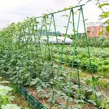 27 Pcs Durable Metal Garden Plant Stakes (with Accessories) for Climbing Plants - Support Poles, Ideal for Tomatoes, Grapes, Cuc