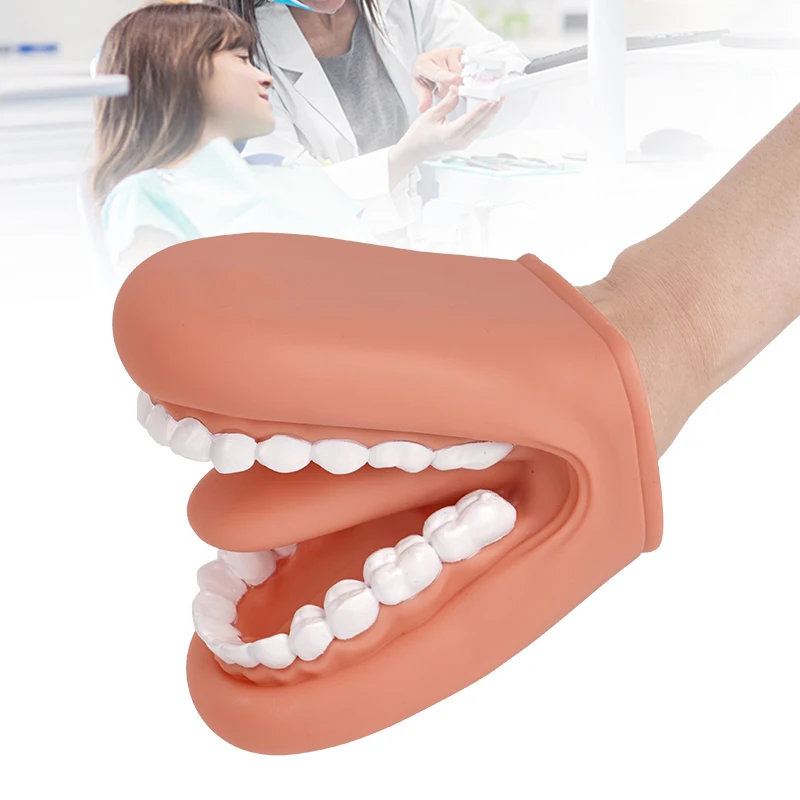 1pc Silicone Glove Style Dental Models for Oral and Dental Care, Dental Teaching Molds, and Practice Dental Teaching Tools