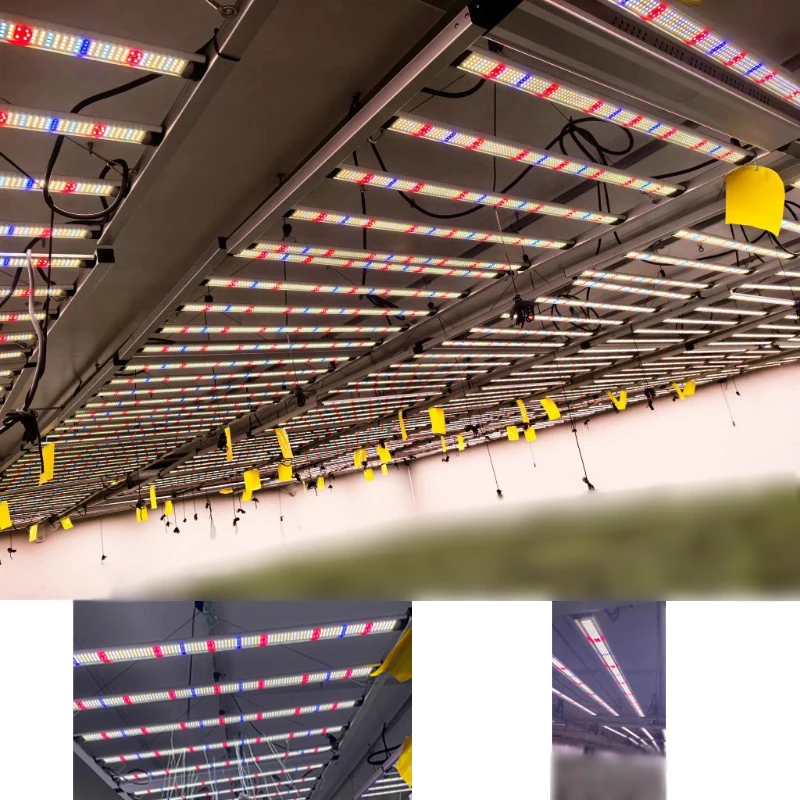 

1000W 4x6ft indoor planting lamp, 1.8-meter plant growth supplementary light