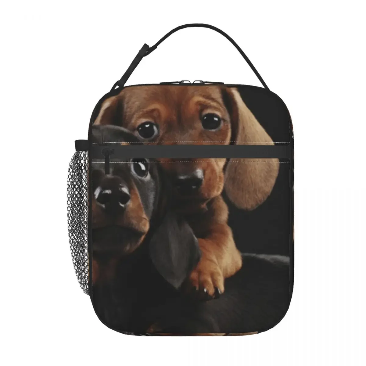 Dachshund Dog Portrait Photo Pupies Insulated Lunch Bag for Women Kids Portable Food Boxes Thermal Lunch Box Tote