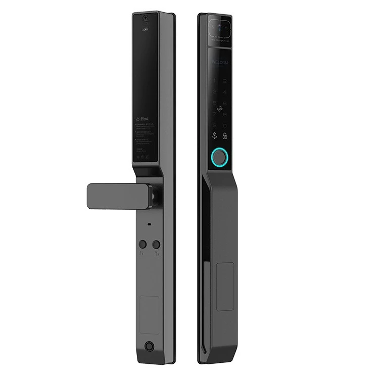 Fully automatic 3D facial recognition palm vein courtyard password broken bridge aluminum smart door lock