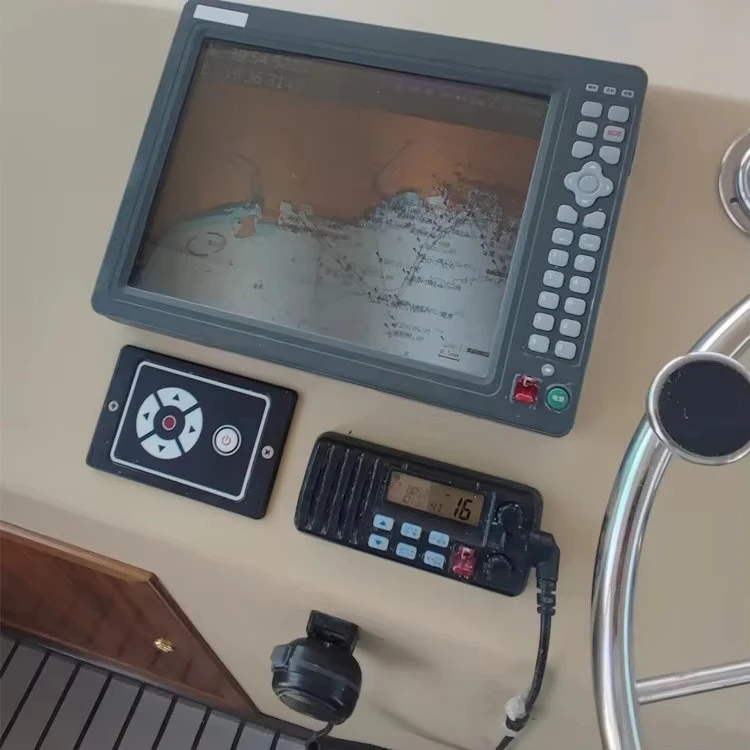 Barca cingolata per barca da pesca per il piacere da 16 m