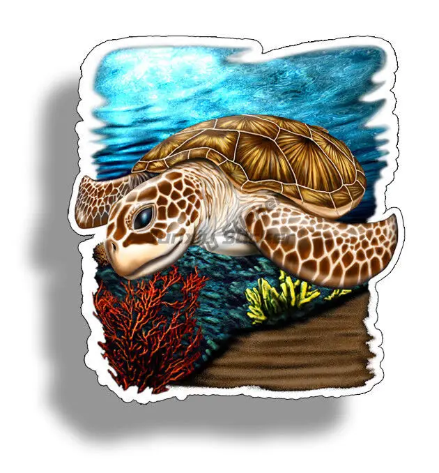 Personality Turtle Sticker Marine Life Refrigerator Laptop Computer Cup Car Window Bumper Decal