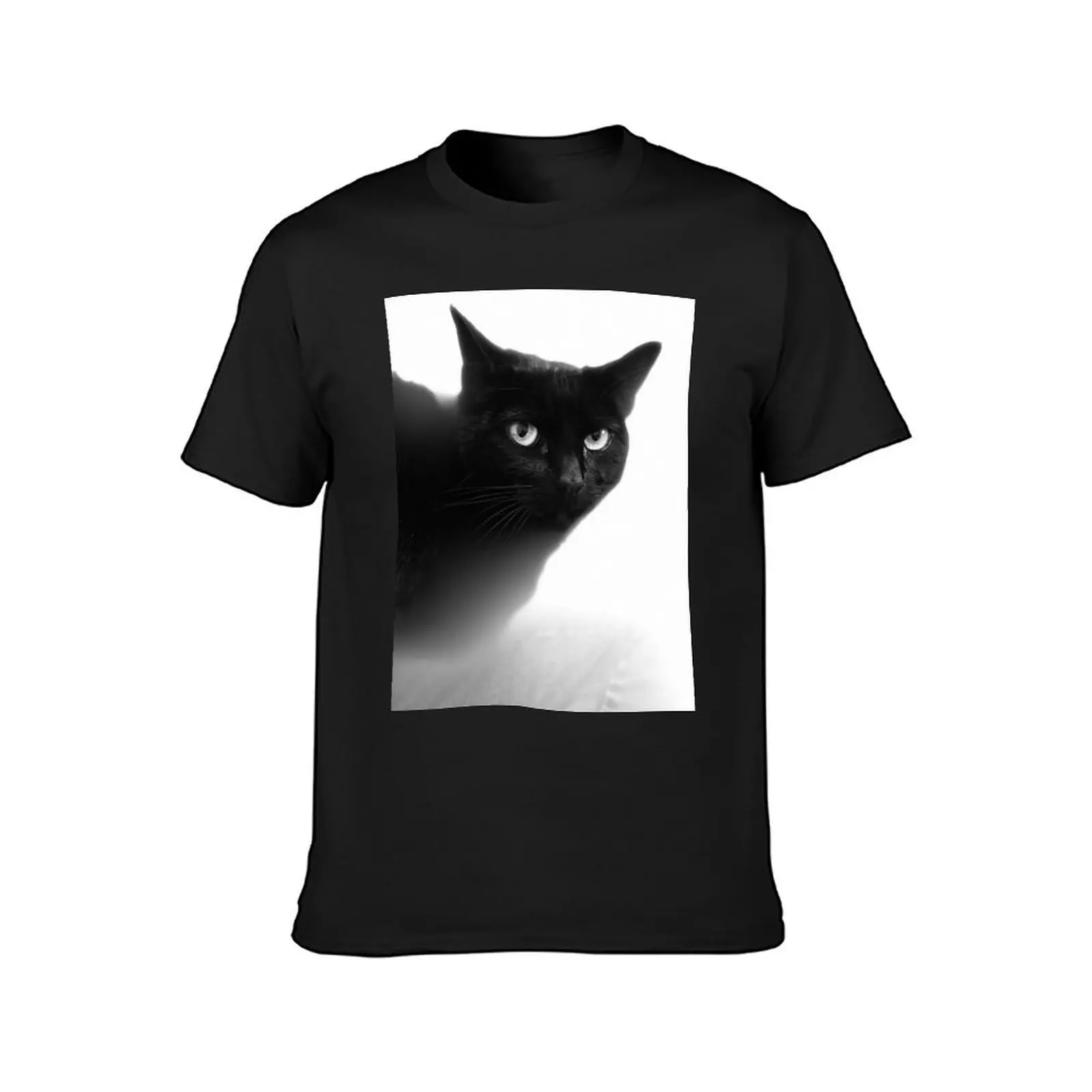 Portrait black cat with white diffusion T-Shirt sweat boys whites new edition men t shirt