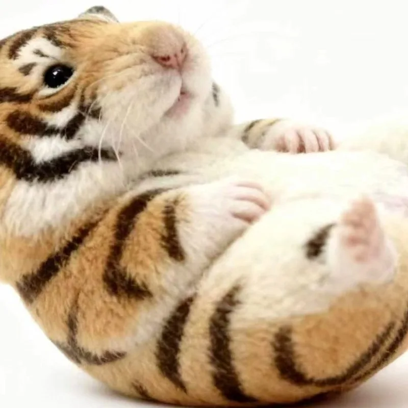 Cute Hamster Plush Keychain & Tiger Plush Pendant - Soft Stuffed Animal Accessories, Adorable Bag Charms, Perfect for Kids Gifts