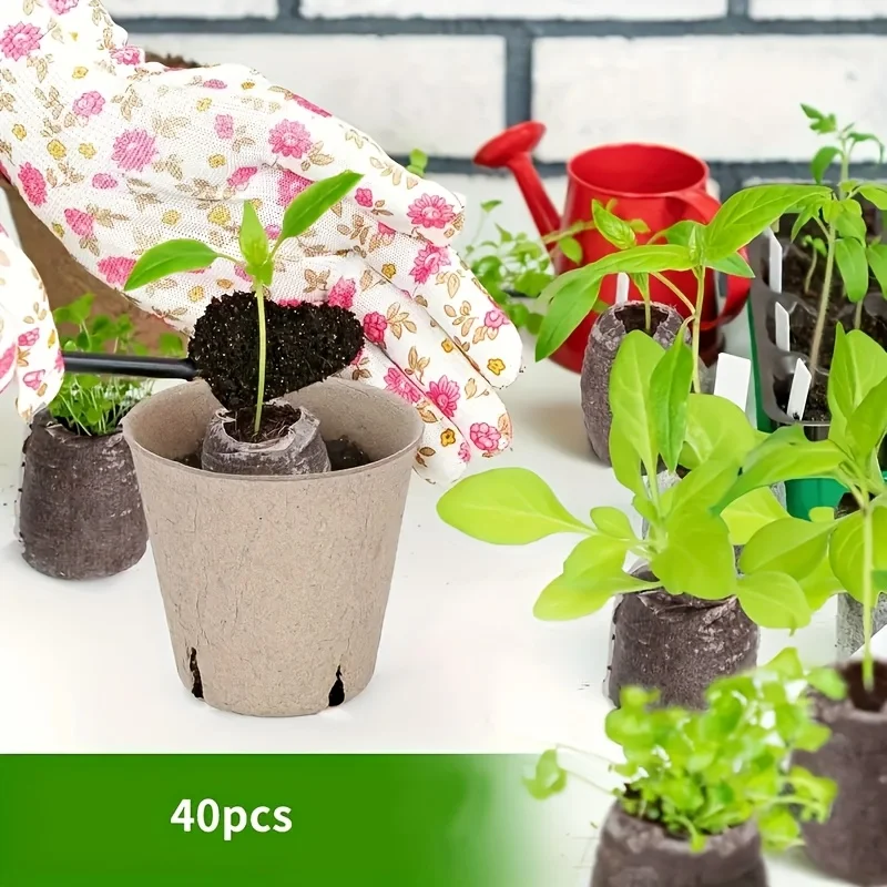 30 قطعة من حبيبات قشرة جوز الهند 30 مم للشتلات، مجموعة بذور نباتات الحديقة للخضروات والزهور، Bo