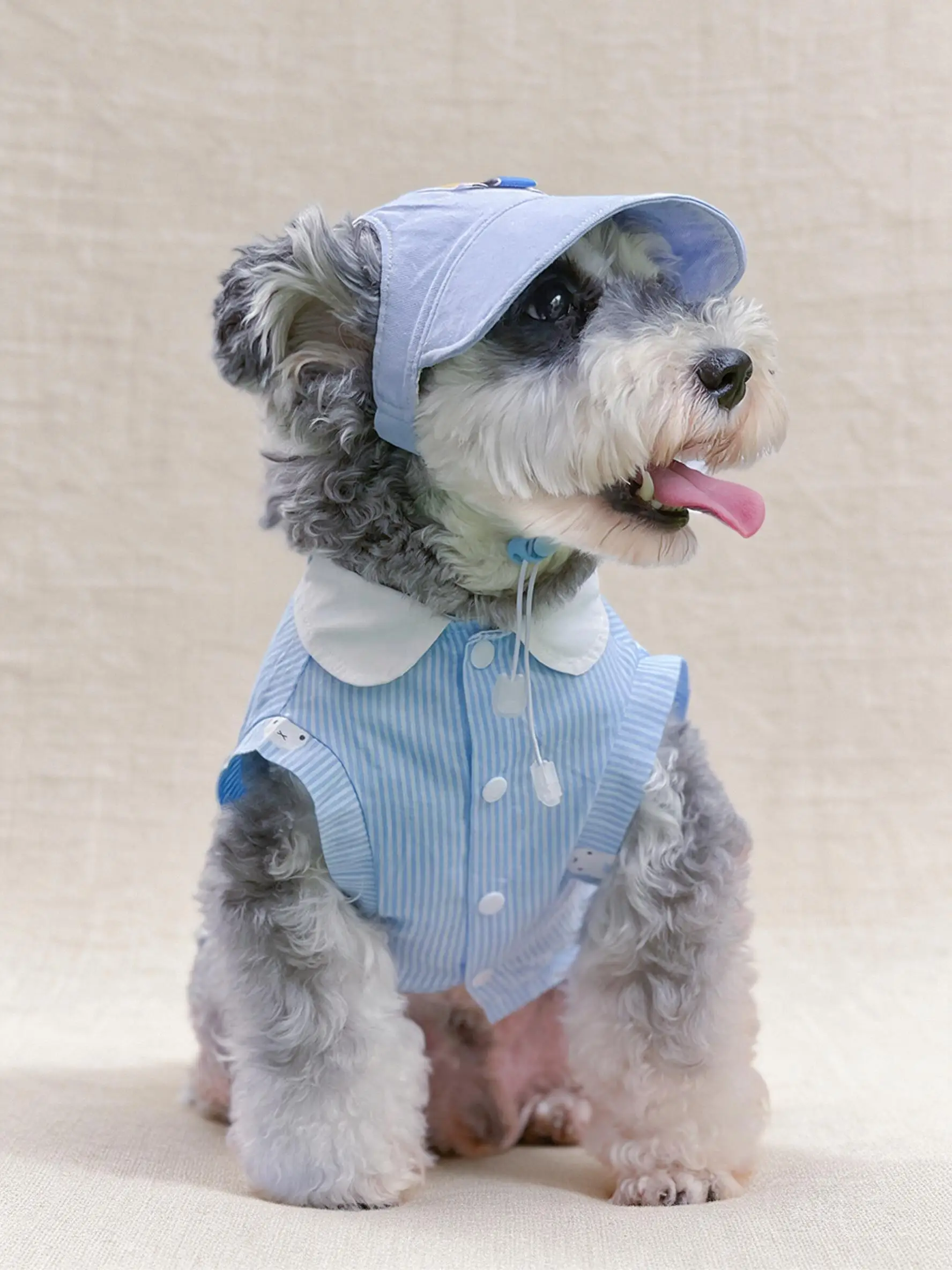 Summer Sleeveless Blue Striped Dog Shirt With Matching Baseball Cap Cute Thin Outfit For Small Dogs Bichon Pomeranian Schnauzer